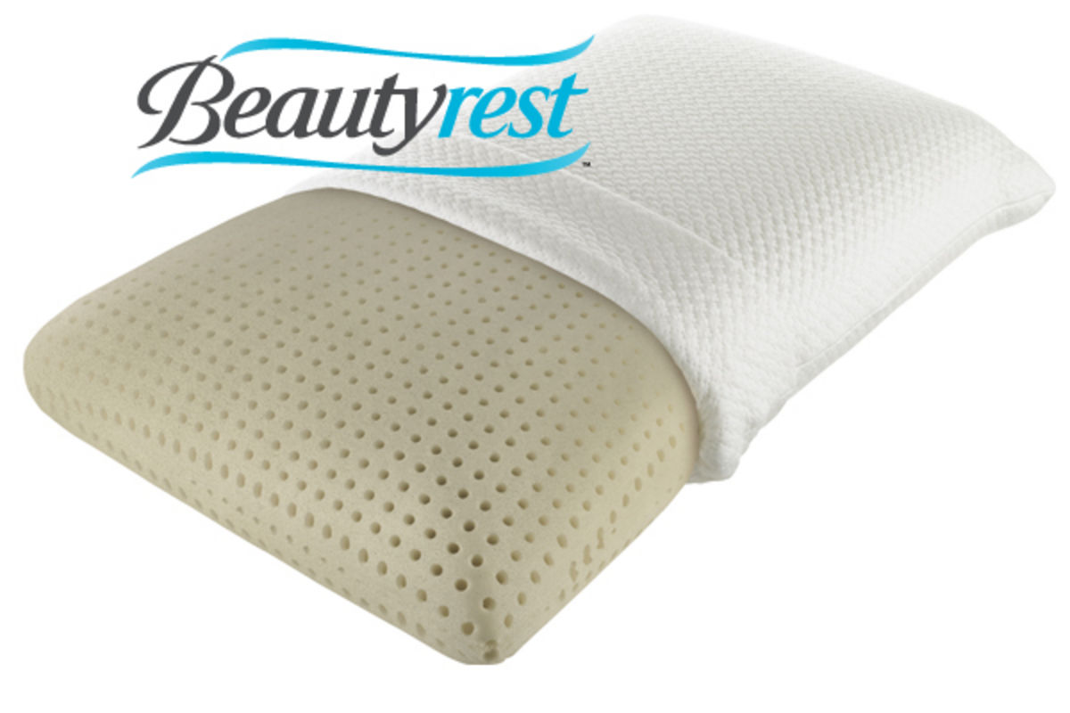 Beautyrest® TruEnergy™ Plush Memory Foam Pillow at Gardner-White