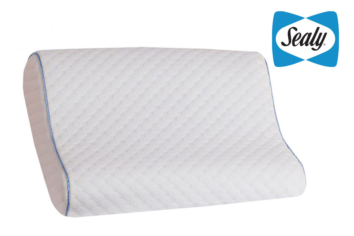 Sealy Memory Foam Standard Contour Pillow at GardnerWhite